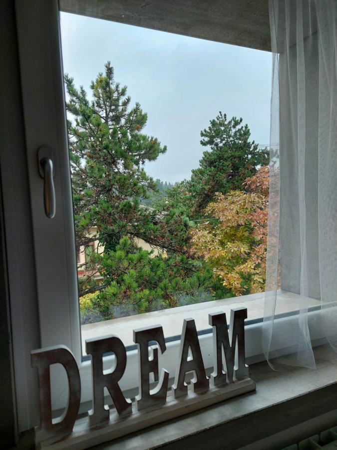 La Pineta - Delightful Small Apartment Near The City Center L'Aquila Exterior photo